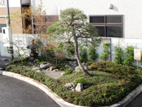 表参道の駐車場を色どる日本庭園に変化